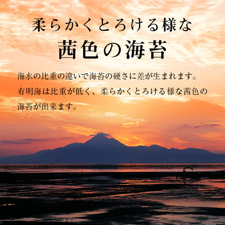 【ふるなびWEEK対象】味付け海苔 福岡有明のり10切80枚  大丸ボトル 6本セット 味付け海苔