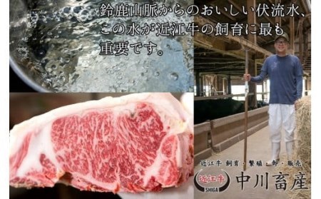 令和4年度 全国肉用牛枝肉共励会 最優秀賞受賞 中川畜産の近江牛 サーロインステーキ 2枚/計 400g [髙島屋選定品]（株）高島屋洛西店 滋賀県 東近江市 D16 近江牛 ステーキ 肉 牛肉 ブランド牛 霜降り 熟成肉 ギフト