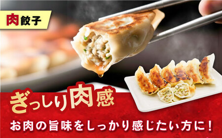 訳あり 本格　肉餃子 100個セット[AKHQ006]餃子