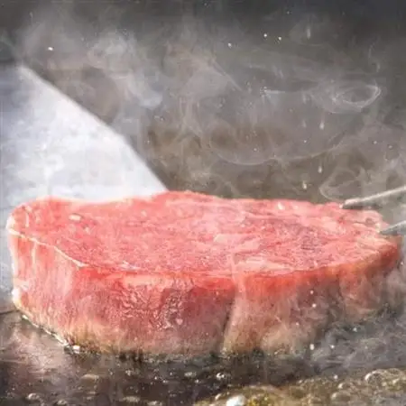 4等級以上!鹿児島県産黒毛和牛ヒレステーキ2枚【配送不可地域：離島】【1185784】