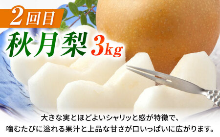 【先行予約】【3回定期便】 梨 約3kg 計約9kg（豊水・秋月・新高）  梨 ナシ フルーツ 果物 【日本フルーツ株式会社】[ZFJ070]