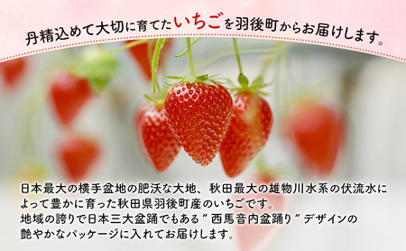 いちご訳あり品種指定不可いちご【600g(300g×2)】