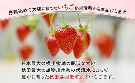 いちご訳あり品種指定不可いちご【400g(200g×2)】