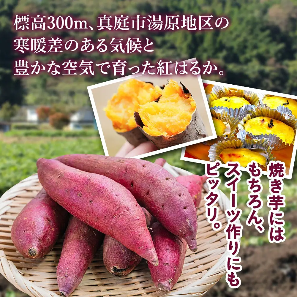 【訳あり】針山さんちのさつまいも 紅はるか 3kg / さつまいも 紅はるか 岡山県 野菜 【ybrf001-02】