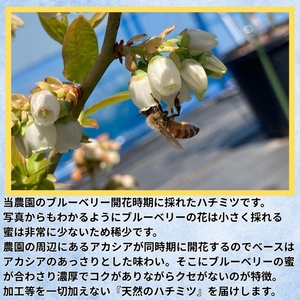 長野県産はちみつ 900g（純粋・非加熱・天然100%） 信州 佐久市 無添加 国産 アカシア 蜂蜜 ハニー パン ヨーグルト 希少 ブルーベリー はちみつ