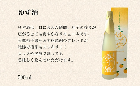 ハクレイ酒造　白嶺500ml×2本　リキュールセット（レモンポンサワーの素、ゆず酒） myz09 myz11 myz20 myz22 myz23