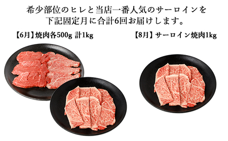 伊賀牛 【年6回偶数月発送】 A5 ヒレ・サーロイン 定期便A 総合計約6.1kg 伊賀牛 【dido-tkb0025】