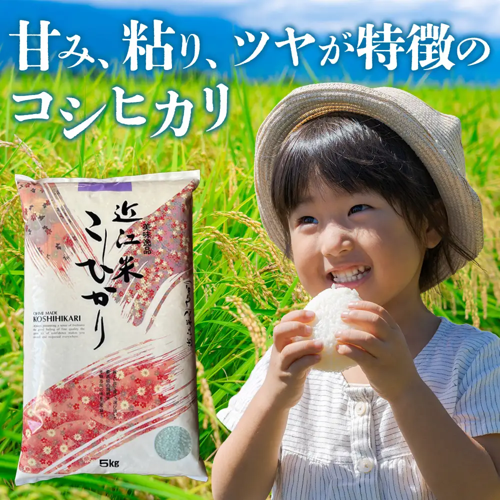 【令和7年産】近江米コシヒカリ白米5kg