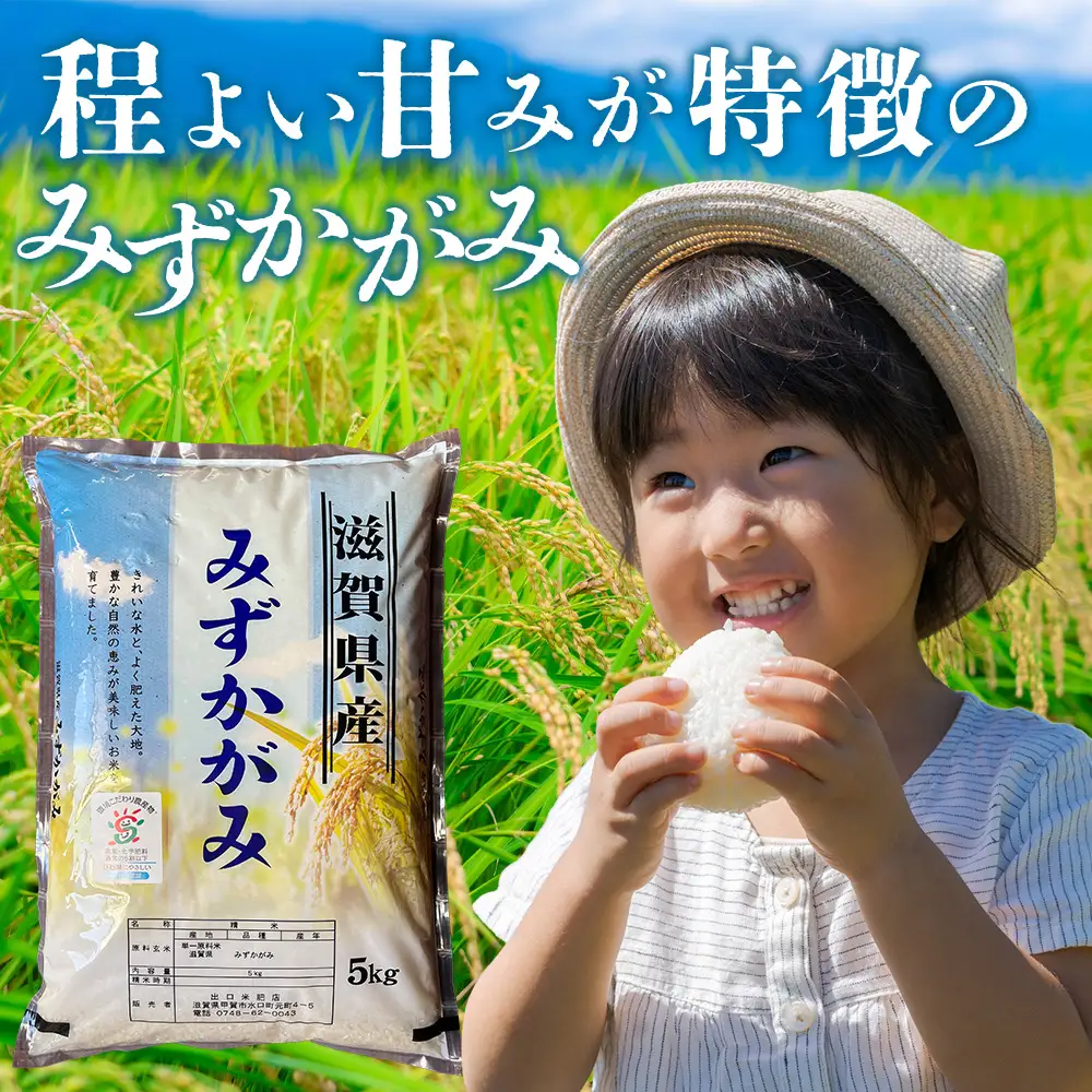 【令和7年産】近江米みずかがみ白米10kg（5kg×2袋）