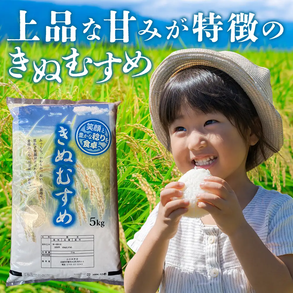【令和7年産】近江米きぬむすめ白米5kg