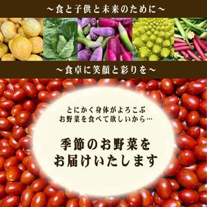 【2027年1月以降順次発送】じゃがいも 10kg デストロイヤー 野菜 農家直送 季節限定 芋 いも下関 IN103