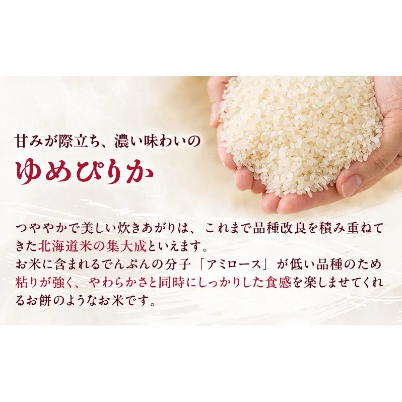 【12ヶ月定期便】北海道産 ゆめぴりか 無洗米 5kg 米 特A 白米 定期便