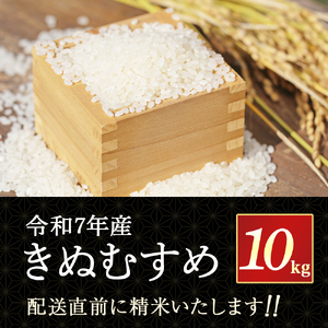 【在庫限定】令和7年産米 きぬむすめ 10kg （大上農園）数量限定 米 白米 きぬむすめ