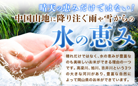 米【3ヶ月定期便】晴れの国岡山の無洗米 10kg