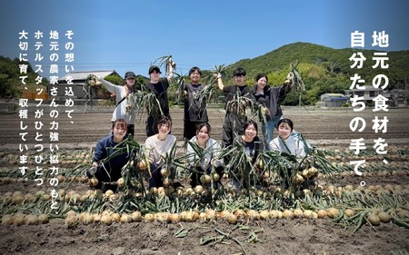 海月館 自社農場栽培！淡路島産 玉ねぎ 5kg