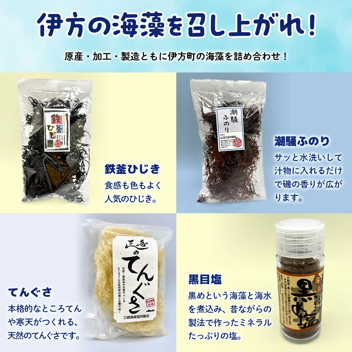 伊方町産 海のおくりものセット IKTO009