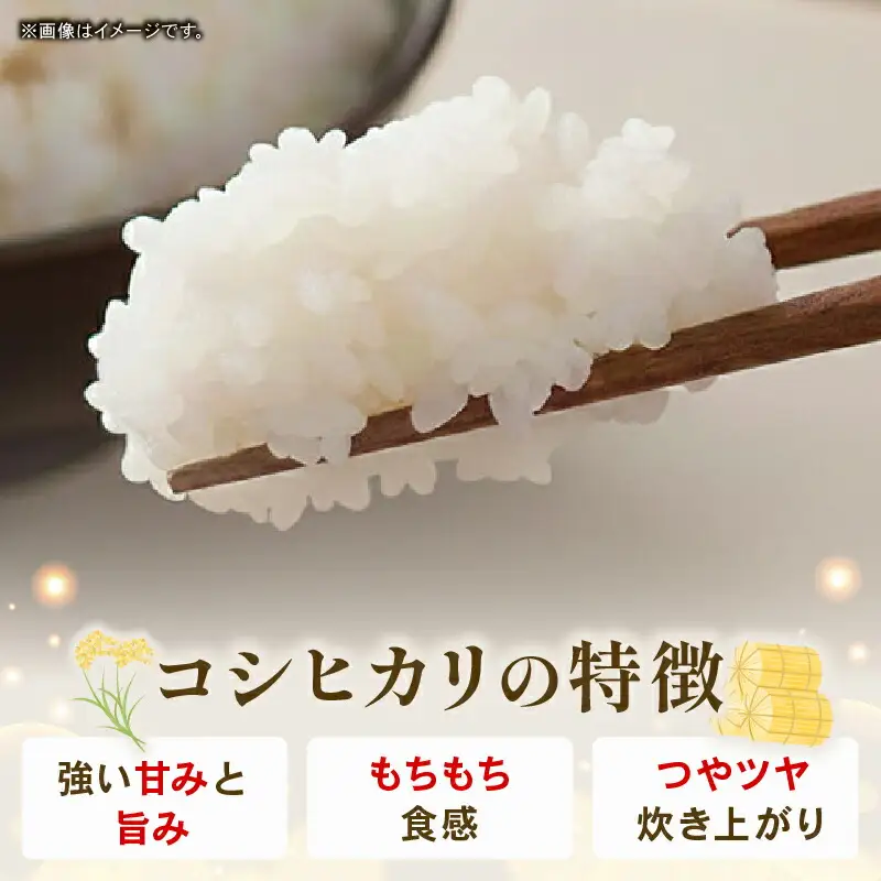 【先行予約】白米 10㎏ コシヒカリ 令和8年度 南国市産 6回定期便