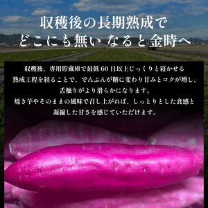 なると金時 5kg Mサイズ さつまいも なると金時