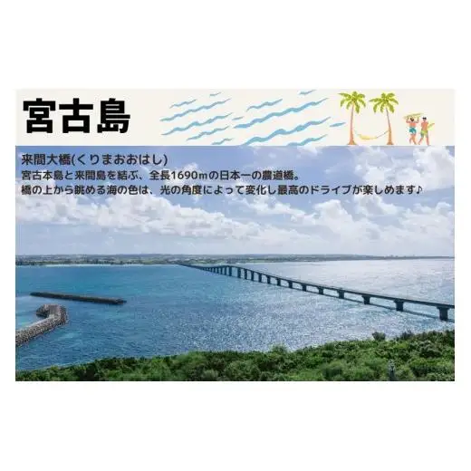 宮古島市に泊まるふるさと納税旅行クーポン【9,000円分】（NK03）