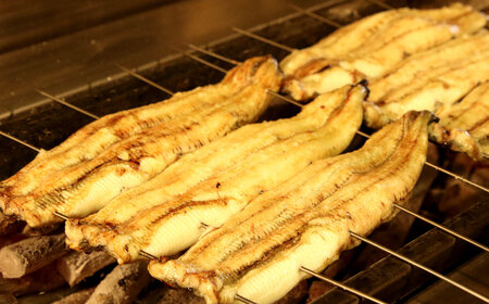 木曽三川ウナギの白焼 150g × 3尾 合計450g ／ うなぎ 鰻 ウナギ 国産 国産鰻 白焼 白焼き 土用の丑の日 丑の日 良質 老舗 冷凍 三重県 桑名市