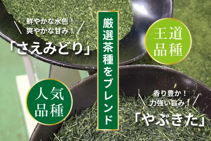 お茶 ティーバッグ 特撰 みやざき煎茶 紐付き 3袋 セット