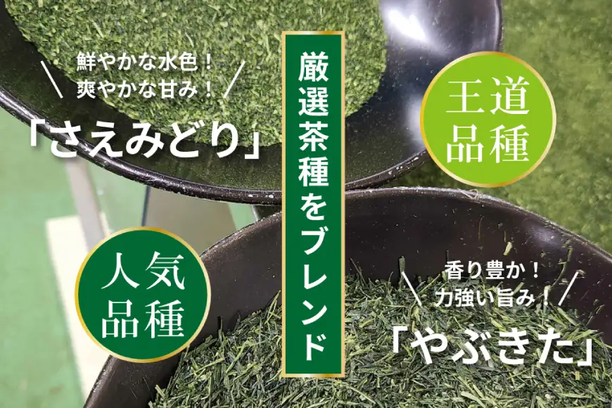 お茶 ティーバッグ 特撰 みやざき煎茶 紐付き 10袋 セット