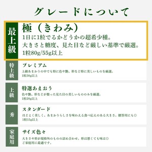 いちご 大粒 あまおう 苺 「極」 1粒55g以上 2027年早期受付 果物