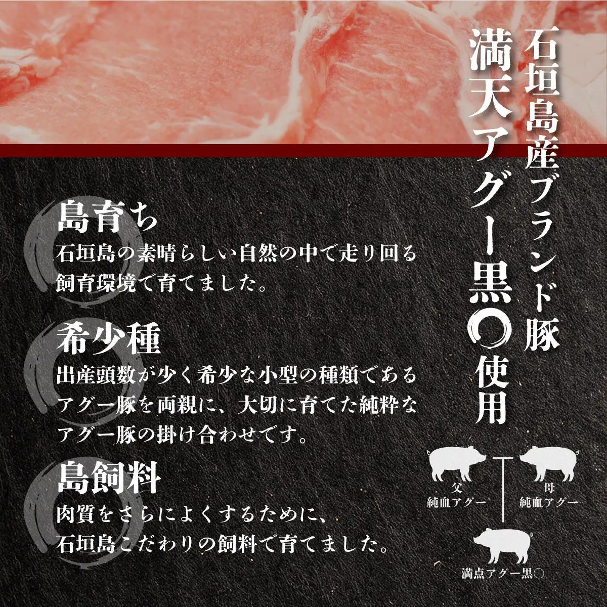 満天アグー ローストポーク 300g ハンバーグ 150g×2