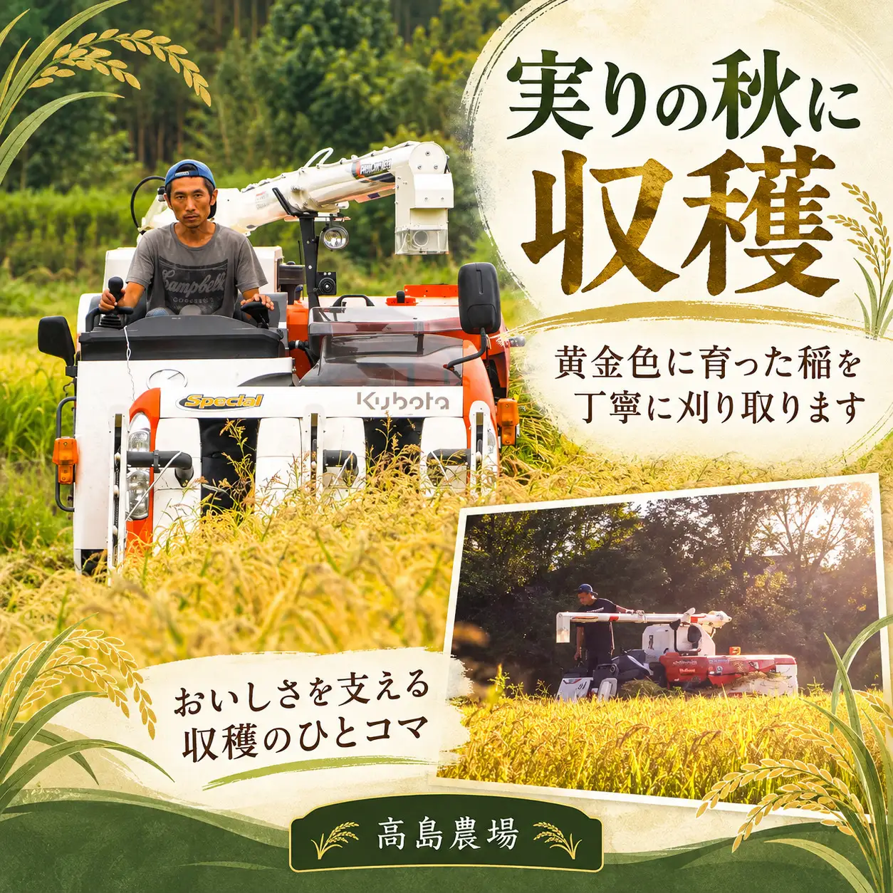 有機農業 10kg 玄米 高島農場 | ササニシキ 新潟県 佐渡市 玄米