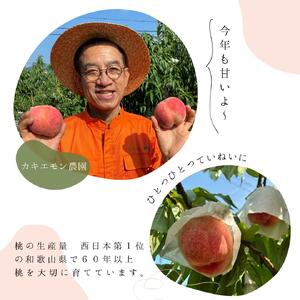 桃 白鳳 約4kg 箱 (13～15個) 【訳あり】サイズ不揃い カキエモン農園【BX-kkem030】