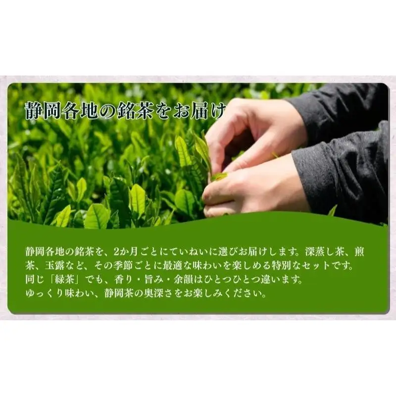 お茶 いしだ茶屋 上煎茶 定期便 6ヵ月 お茶