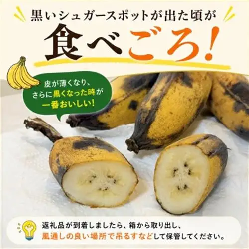 JAおきなわが厳選!季節の沖縄県産バナナ約2kg(旬の品種おまかせ)【1694030】