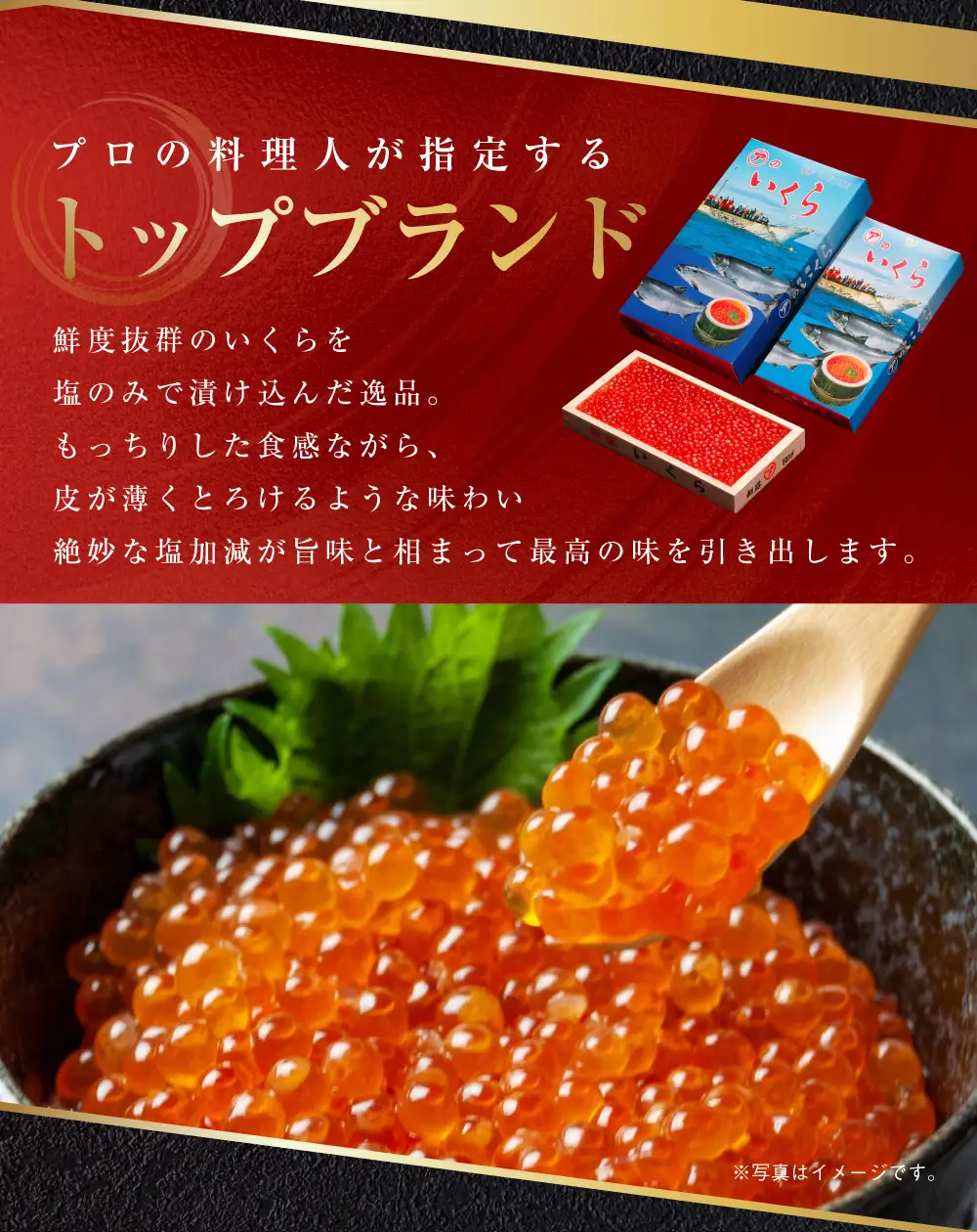 【 北海道 産 】 マルア阿部商店特選 塩 いくら 500 g ふるさと納税 イクラ 魚卵 