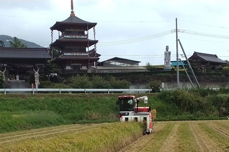 獅子米 ゆうだい21 小分け セット 9kg （3kg×3袋） 米 お米 精米 白米 ご飯 ごはん 産地直送 国産 茨城県 石岡市 B02-088