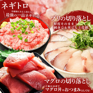 【ふるなびWEEK対象】厳選 海鮮5種詰め合わせセット FN-Limited-WE