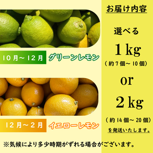 【期間限定】檸檬 マイヤーレモン 2kg  檸檬