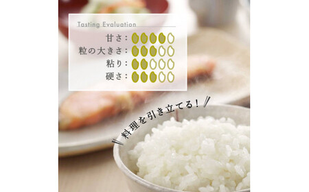 米 【3か月定期便】R7年産 新潟県産 こしいぶき 10kg （精米）
