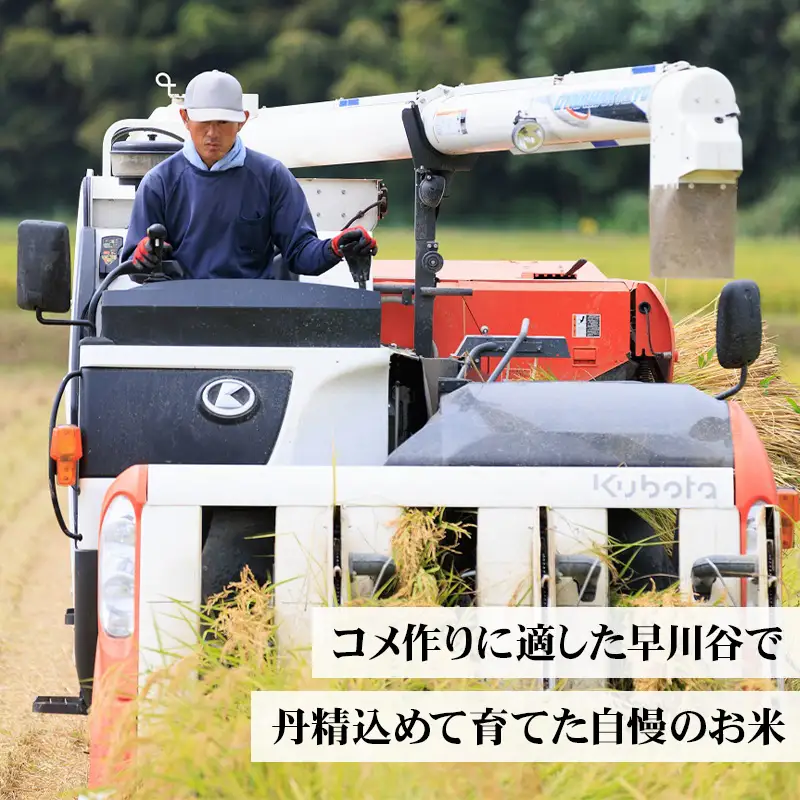 令和7年産 新之助 玄米 30kg （精米サービス可能／小分け不可）【新潟県産 農家直送 新之助 2025年産 プロが認めた美味しいお米 百姓や伝六 美味しい 農家自慢 お米 白米 おにぎり お弁当 新潟米】