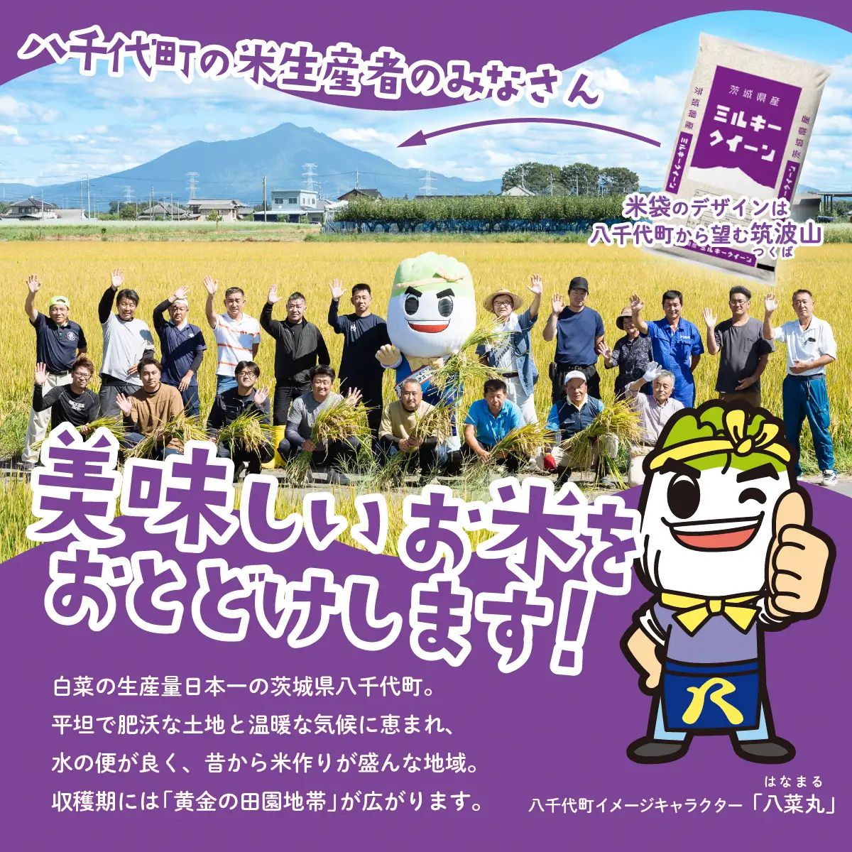 【令和8年産】新米 ミルキークイーン 5kg 精米 5kg(5kg×1袋)