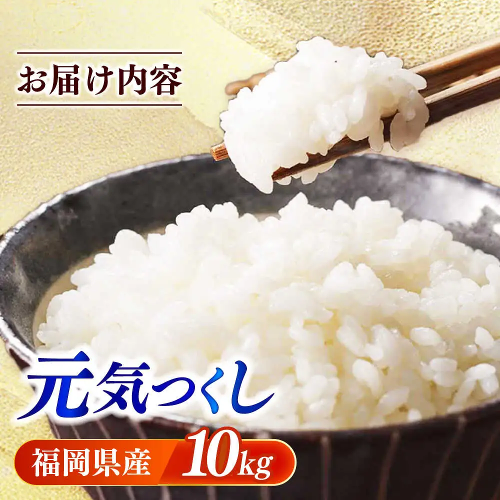 【令和7年産】果物屋さんが選んだ米 元気つくし 10kg 米 白米 お米 ブランド米[ABET011]