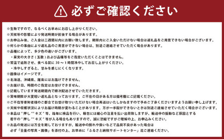 岡山 白桃 エース 4～6玉 計約1kg 岡山県産 【2026年7月上旬～8月下旬迄発送予定】 フルーツ 果物 くだもの モモ 桃 もも 冷蔵 国産