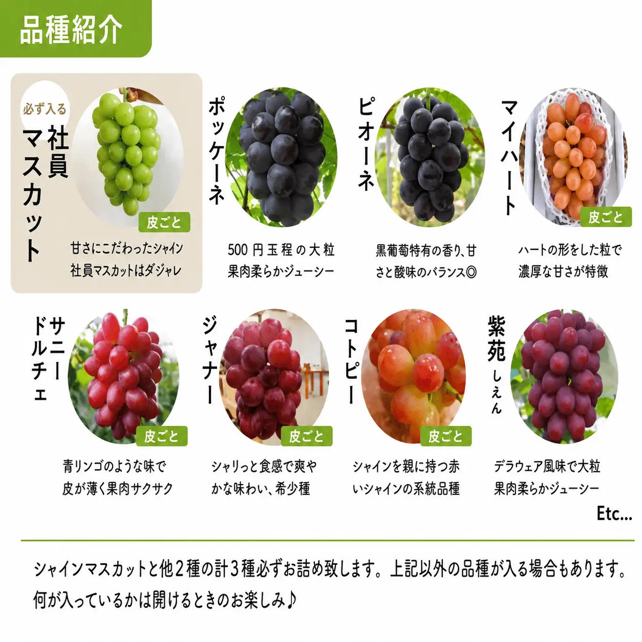 【2026年先行予約】旬のぶどう３品種詰め合わせ(シャインマスカット入り) 3~5房/計2.0kg~ (岡山県産) 【KF-B067-02】
