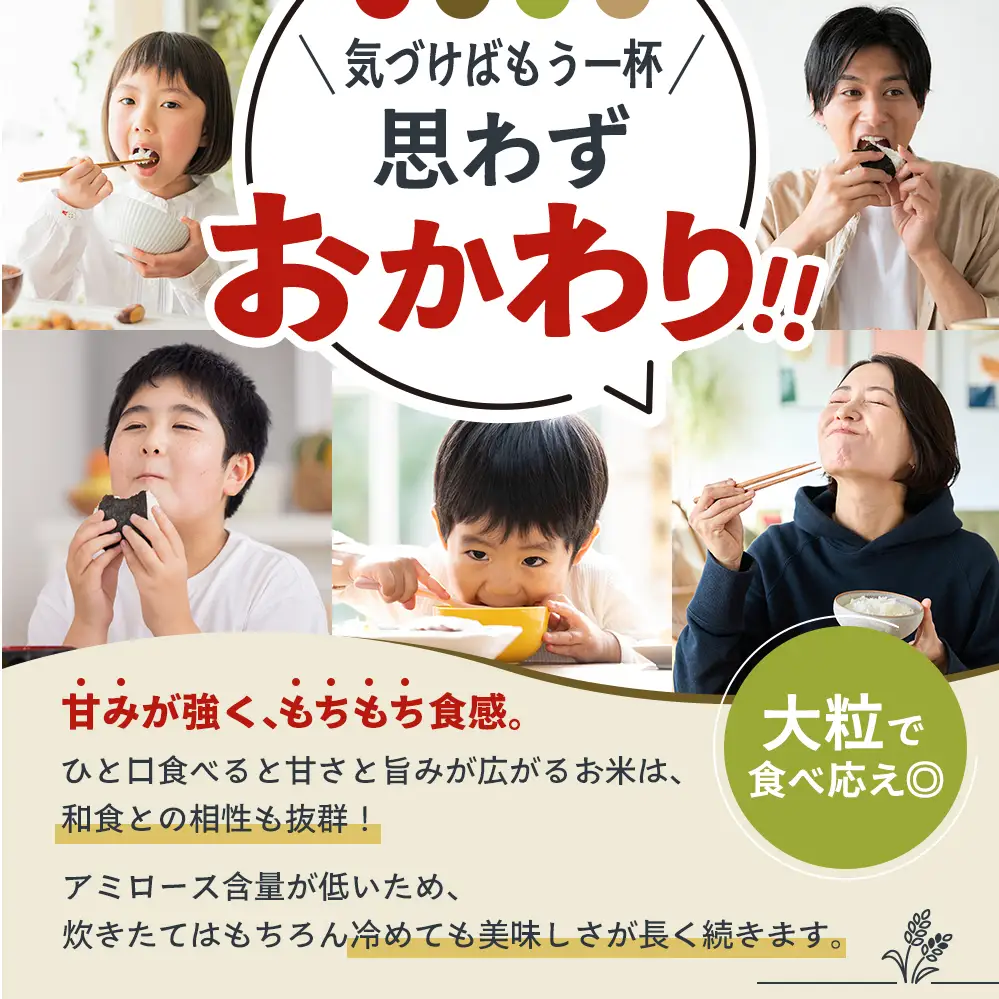 【令和8年産 先行受付】しきゆたか 白米 10kg