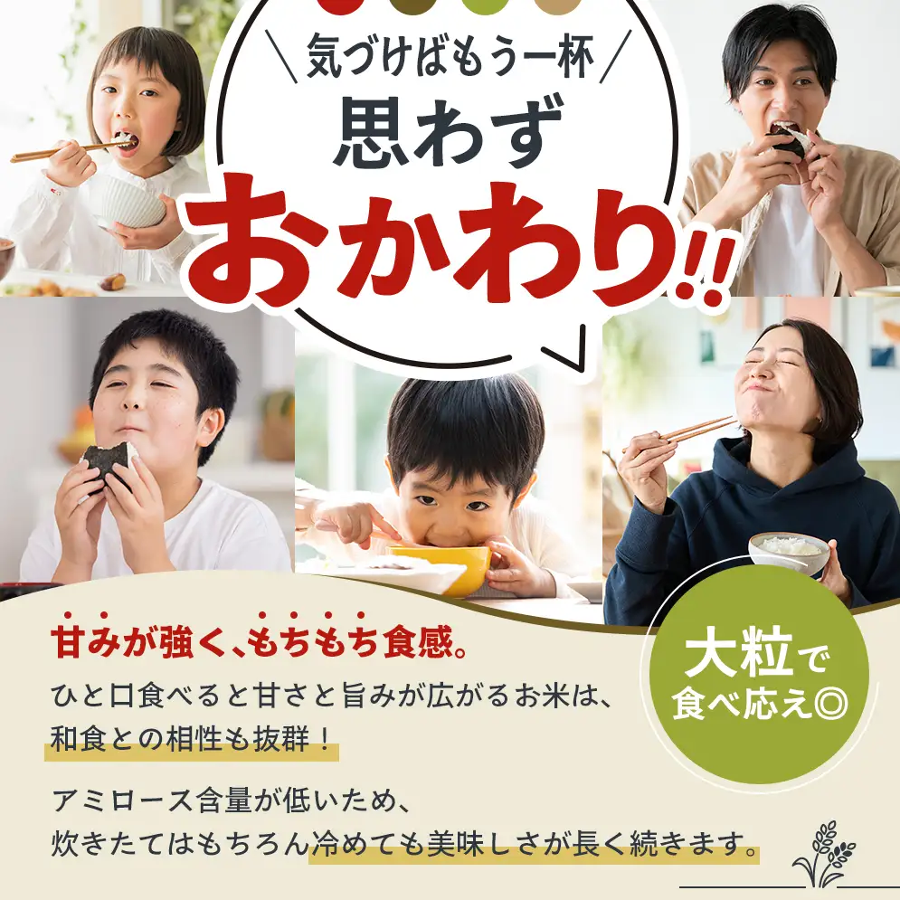 【令和8年産 先行受付】しきゆたか 白米 10kg《2026年12月発送》