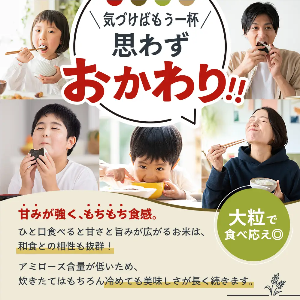 【令和8年産 先行受付】しきゆたか 白米 10kg《2027年1月発送》