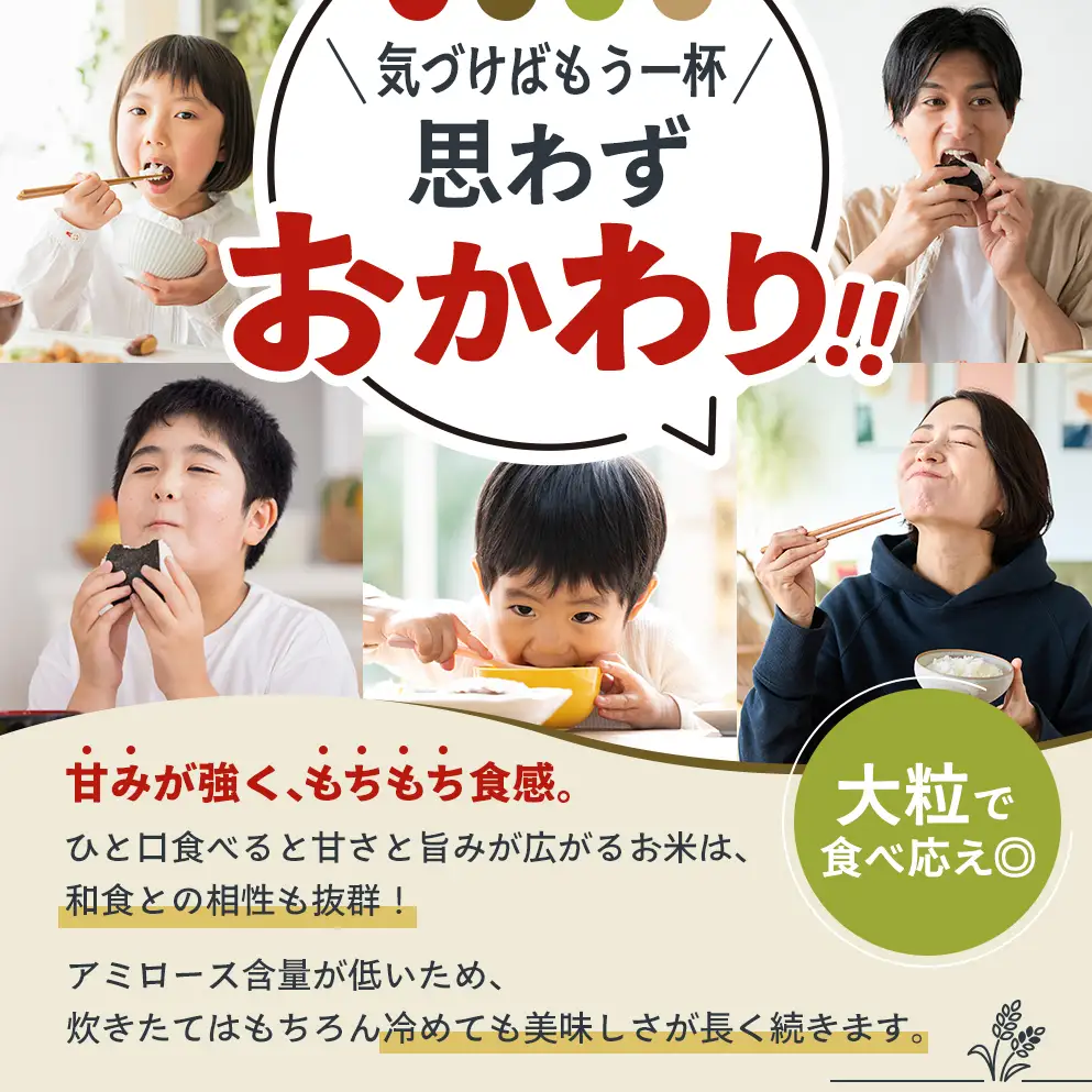 【令和8年産 先行受付】しきゆたか 白米 10kg《2027年3月発送》