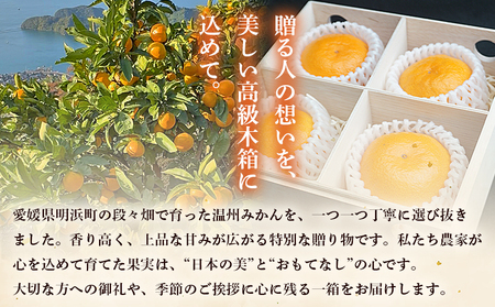 ＜【木箱入り】温州みかん 贈答用（4個×2箱）＞ 果物 フルーツ 蜜柑 みかん ミカン 柑橘 温州みかん 愛媛県産 ギフト 特産品 媛柑PremiumJapan 愛媛県 西予市【常温】『2025年12月～2026年1月迄に順次出荷予定』 AHP0002