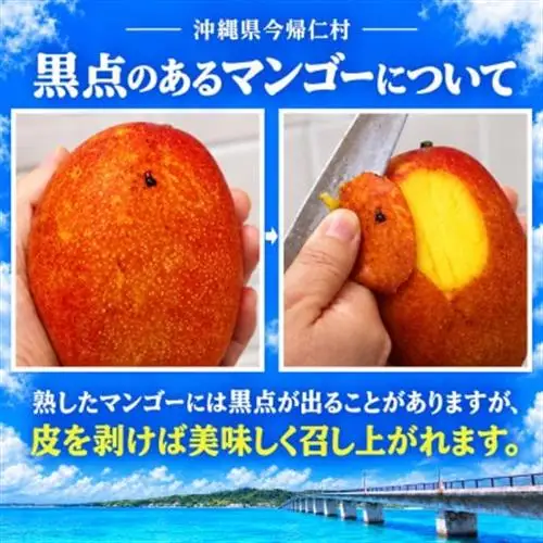 【2027年7月から順次発送・特選】今帰仁ゆがふ農園のアーウィンマンゴー1kg(2～3玉)【配送不可地域：離島】【1694714】