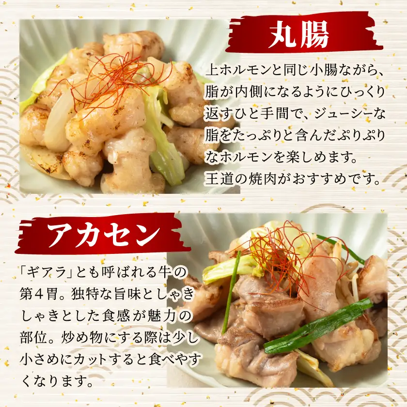 国産黒毛和牛シロホルモンセット840g A3-383枕【配送不可地域：離島】【1694678】