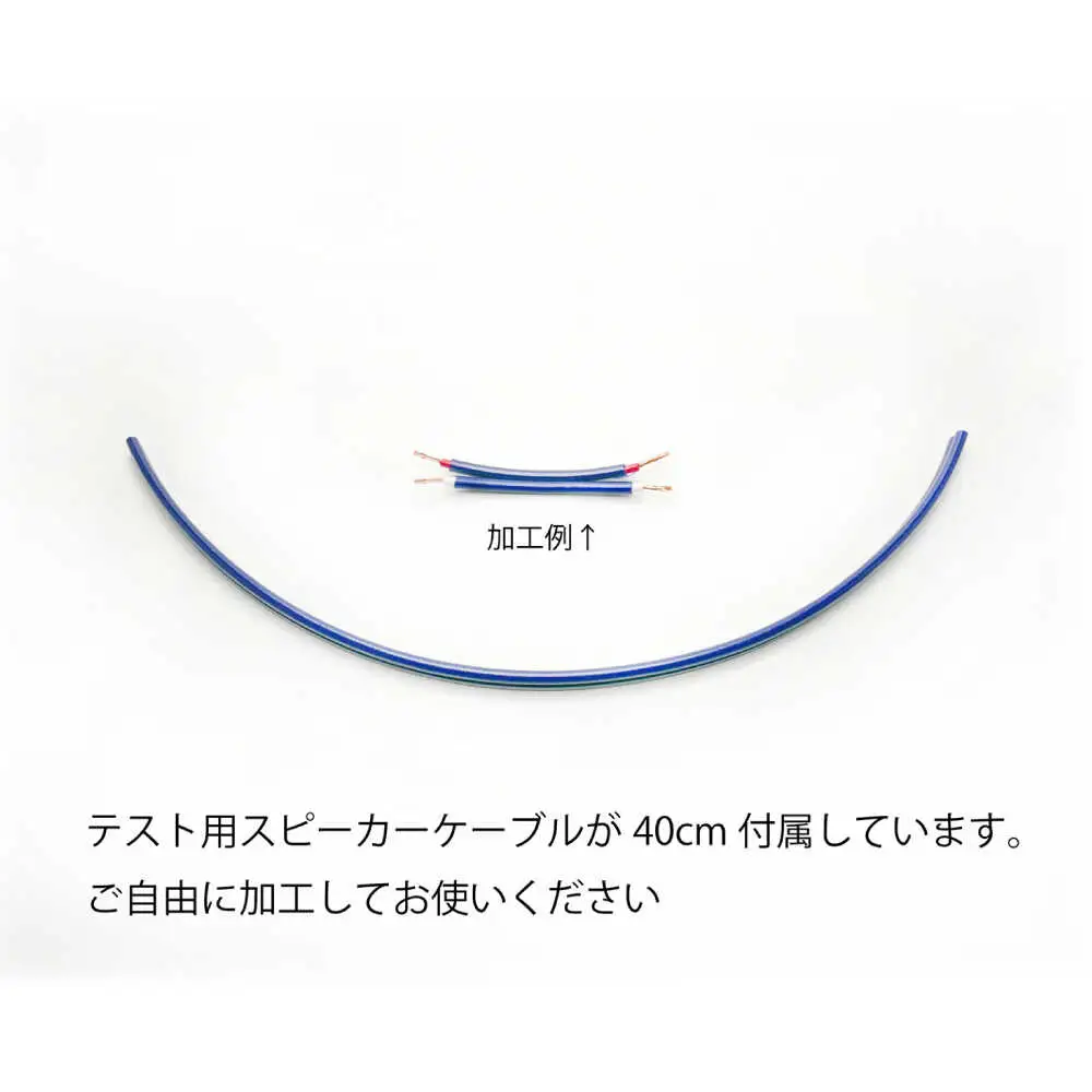アクティブトロンプラス スピーカー用 SP-1S 2個組 / ノイズフィルター オーディオ　音質向上 高音質 / 諫早市 / オーディオ・ラボ有限会社[AHDF007]